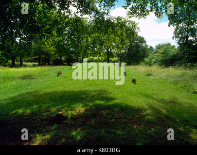 Rückansicht, auf SSE in Richtung megalithischen Fassade aus Stein - umrandete Damm von Wayland Smithy neolithischen Long Barrow neben Ridgeway long distance Path. Stockfoto