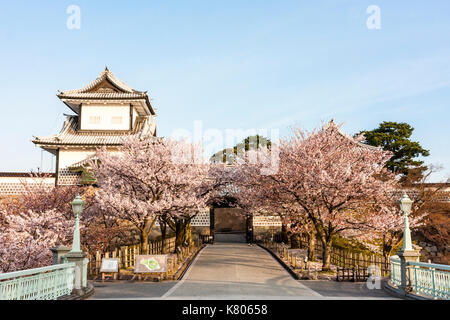 Burg Kanazawa, Japan. Ishikawa-mon Tor und yagura, Revolver rekonstruiert. Brücke zum Tor mit Kirschblüten auf beiden Seiten. Goldene Stunde. Stockfoto