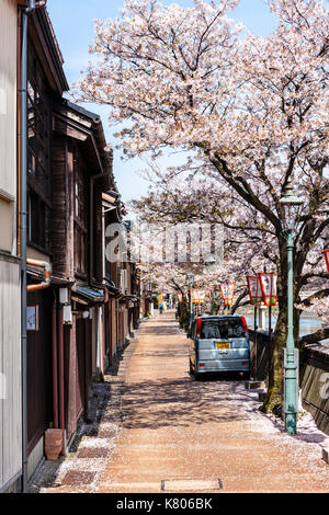 Beliebte Kazue-machi Chaya, Edo Periode street Mix aus traditionellen japanischen Ryokan, Gasthöfe und Gehäuse, gegenüber, Kirschblüten und den Fluss. Stockfoto