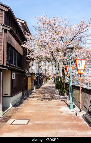 Beliebte Kazue-machi Chaya, Edo Periode street Mix aus traditionellen japanischen Ryokan, Gasthöfe und Gehäuse, gegenüber, Kirschblüten und den Fluss. Stockfoto