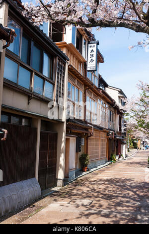 Beliebte Kazue-machi Chaya, Edo Periode street Mix aus traditionellen japanischen Ryokan, Gasthöfe und Gehäuse, gegenüber, Kirschblüten und den Fluss. Stockfoto