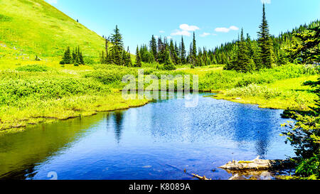 Kleiner See in den Alpen in der Nähe des Dorfes Sun Peaks in der Shuswap Hochland in Zentral British Columbia Kanada Stockfoto