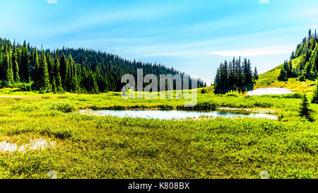 Kleiner See in den Alpen in der Nähe des Dorfes Sun Peaks in der Shuswap Hochland in Zentral British Columbia Kanada Stockfoto