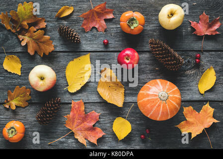 Saisonale herbst Muster flach mit Laub, Tannenzapfen, Äpfel, Kaki, Kürbis und roten Beeren auf rustikalen Holztisch. Ansicht von oben getönten Ima Stockfoto