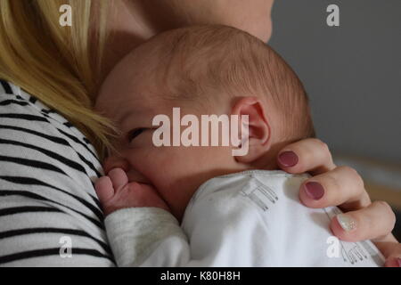 New Born Baby Boy cuddles mit seiner Mutter Stockfoto