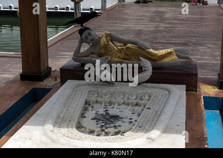 Ein schwarzer Drongo sitzt auf einem golden gekleideten buddha, der Pada Pagode, am Seema Malakaya Tempel auf einer kleinen Insel am Beira See in Colombo, Sri Lanka. Stockfoto