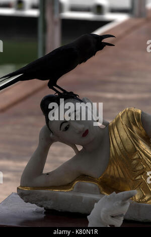 Ein schwarzer Drongo sitzt auf einem golden gekleideten buddha, der Pada Pagode, am Seema Malakaya Tempel auf einer kleinen Insel am Beira See in Colombo, Sri Lanka. Stockfoto