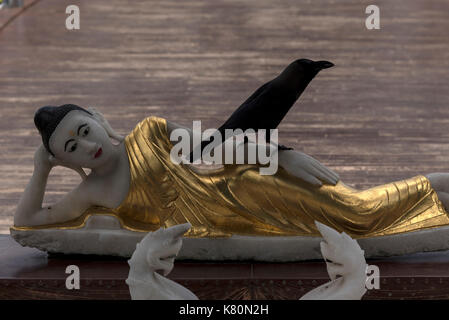 Ein schwarzer Drongo sitzt auf einem golden gekleideten buddha, der Pada Pagode, am Seema Malakaya Tempel auf einer kleinen Insel am Beira See in Colombo, Sri Lanka. Stockfoto