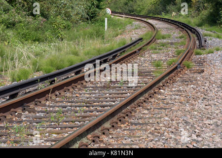 Eine rostige Schiene Gehen um die Ecke und verschwindet in einem bewaldeten Gebiet rund um eine in der Biegelinie. elektrischen Leiter Schienen auf beiden Seiten. Stockfoto