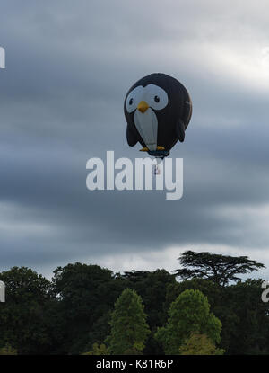 Longleat Sky Safari gehalten an Loingleat Safari Park in Warminster Wilts. Stockfoto