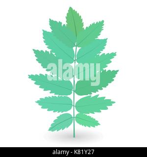 Bunte naturalistischen grüne Blätter am Zweig. Vektor Illustratio Stock Vektor