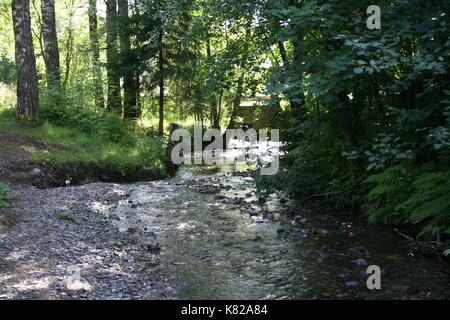 Unsortierte Bilder im Querformat (in Arbeit) Stockfoto