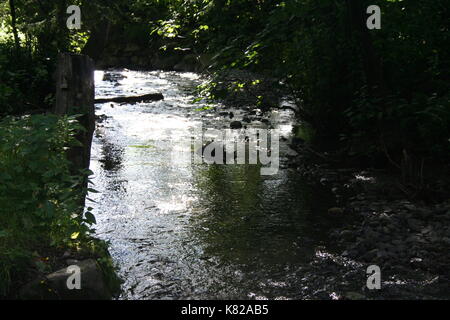 Unsortierte Bilder im Querformat (in Arbeit) Stockfoto