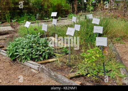 Kräutergarten im Furnacetown Living Heritage Village, Snow Hill, Maryland, USA. Stockfoto