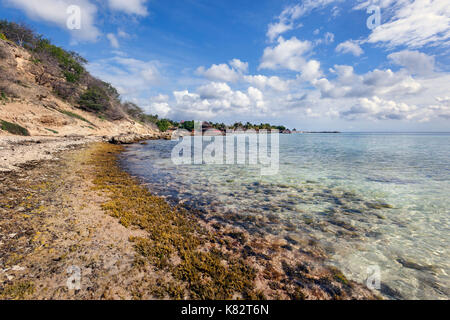 Klare Wasser des Ozeans der Jan Thiel Bay auf Curacao Stockfoto