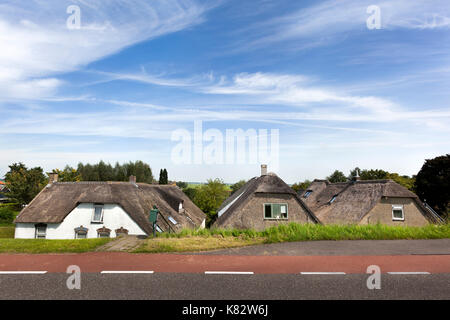 Deich und Bauernhäuser entlang des Flusses Lek in den Niederlanden Stockfoto