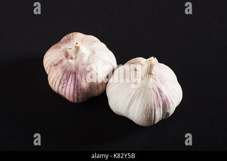 2 frischen Knoblauch Zwiebeln auf einem schwarzen Hintergrund. Stockfoto