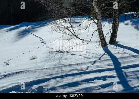 Winterlandschaft in Beskiden, Schlesien, Polen Stockfoto