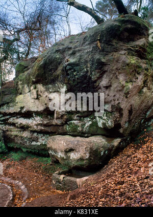 View SE von Merlins Gut (Wizard) auf Alderley Edge bewaldeten Sandstein Escarpment, Cheshire. Wassertropfen von einem Felsvorsprung Lager Merlin's Gesicht. Stockfoto