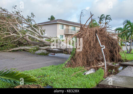 Nach Hurrikan Irma Schäden Naples, Florida Stockfoto