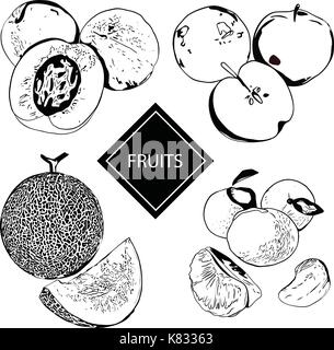 Vector Illustration eines Pfirsich, Apfel, Melone und Mandarin Stock Vektor