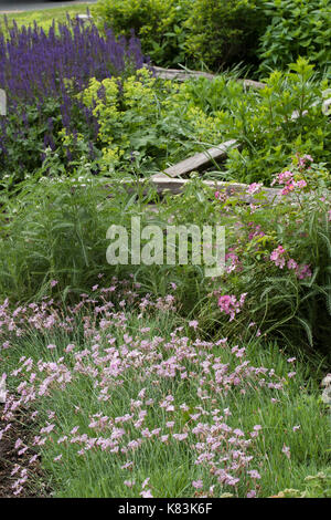 Rustikale Garten im Sommer. Stockfoto