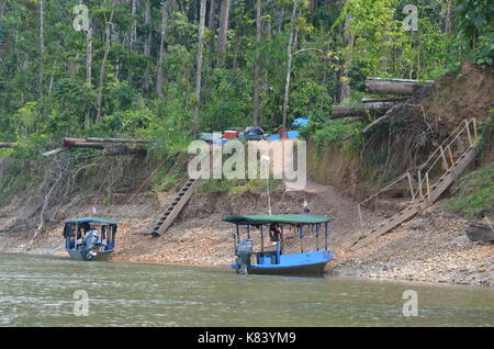 Fluss Boote für Ausflüge in den Regenwald des Amazonas am Tambopata Research Center zu transportieren Lodge im Madre de Dios region Peru Stockfoto