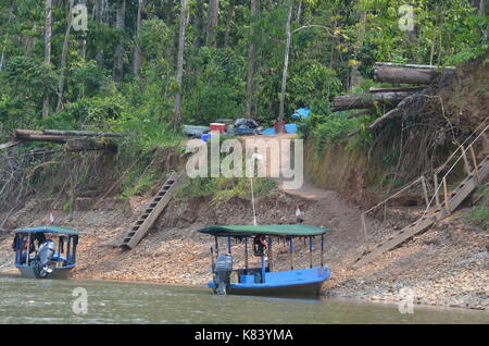 Fluss Boote für Ausflüge in den Regenwald des Amazonas am Tambopata Research Center zu transportieren Lodge im Madre de Dios region Peru Stockfoto