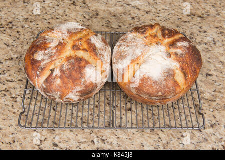 Zwei frisch gebackenen Laibe von Runden artisan Sauerteig Brot auf eine Küche couter Top. Stockfoto