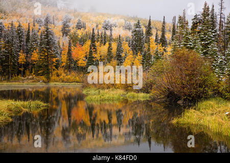 Erster Schnee, Silver Lake, Big Cottonwood Canyon, Wasatch Berge, Utah Stockfoto