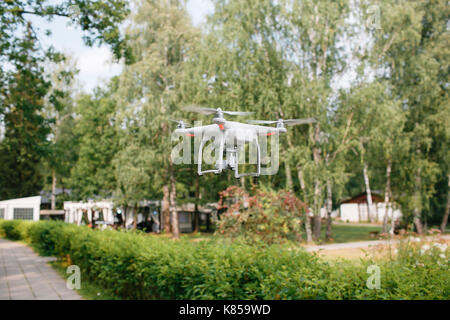 Videografie Hochzeit aus der Luft eine kleine Spion quad Copter scout Drohne durch die Bäume in den Wald fliegen. Stockfoto