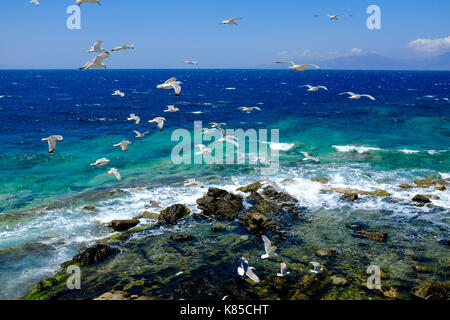 Allgemeine Blick auf die Waterfront, Gebäuden und Menschen angeln in Mykonos, Griechenland im Juli 2016. Auch Möwen warten auf einen Geschmack von Fisch. Stockfoto