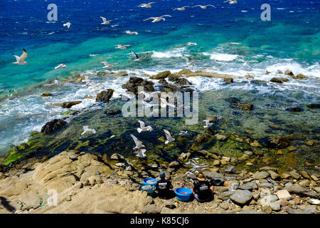 Allgemeine Blick auf die Waterfront, Gebäuden und Menschen angeln in Mykonos, Griechenland im Juli 2016. Auch Möwen warten auf einen Geschmack von Fisch. Stockfoto