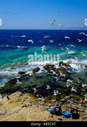 Allgemeine Blick auf die Waterfront, Gebäuden und Menschen angeln in Mykonos, Griechenland im Juli 2016. Auch Möwen warten auf einen Geschmack von Fisch. Stockfoto