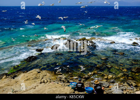 Allgemeine Blick auf die Waterfront, Gebäuden und Menschen angeln in Mykonos, Griechenland im Juli 2016. Auch Möwen warten auf einen Geschmack von Fisch. Stockfoto