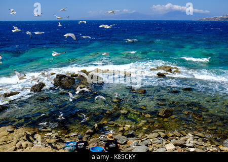 Allgemeine Blick auf die Waterfront, Gebäuden und Menschen angeln in Mykonos, Griechenland im Juli 2016. Auch Möwen warten auf einen Geschmack von Fisch. Stockfoto