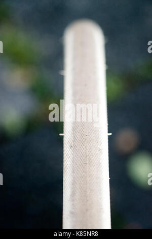 Fahrrad Rad close-up Stockfoto