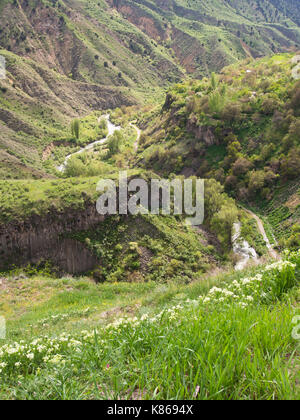 Das Garni Schlucht und die Azat, panorama Blick von der Website des antiken Tempels, in dem Dorf Garni, Provinz Kotajk, Armenien Stockfoto