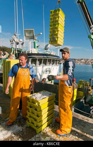 Angelboot herunterladen Boxen von Fisch, Camarinas, La Coruna Provinz, Region Galicien, Spanien, Europa Stockfoto