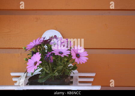 Unsortiert Anlage Bilder (in Arbeit) Stockfoto