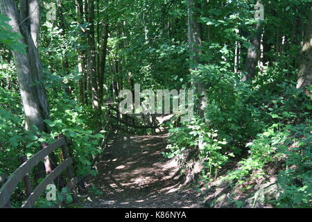 Unsortierte Bilder im Querformat (in Arbeit) Stockfoto