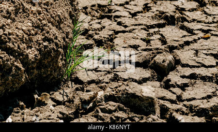 Risse in dürre Erde Stockfoto