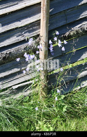 Unsortiert Anlage Bilder (in Arbeit) Stockfoto