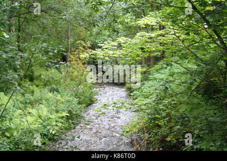 Unsortierte Bilder im Querformat (in Arbeit) Stockfoto