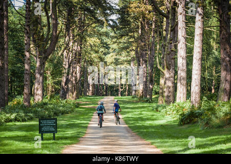 Radfahren in Sandringham royal Estate, Norfolk. Stockfoto