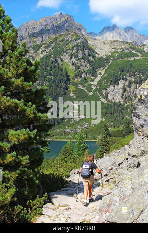 Trail nach Poprad (see Popradske pleso), Hohe Tatra (Vysoke Tatry) National Park, Slowakei Stockfoto