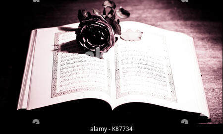 Eine Rose auf dem Koran Stockfoto