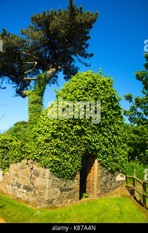 Malerische kleine Häuschen links verlassenen Sark Schuß auf einen Tag Sommer Stockfoto