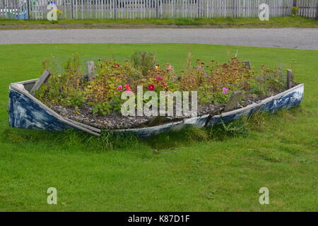 Alte Ruderboot auf Rasen als Blumenbeet re alternative Nutzung umzufunktionieren re-Landschaftsgestaltung an Nigg in Schottland Stockfoto