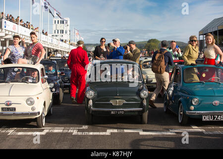 FIAT 500 Parade, 2017 Goodwood Revival Meeting Goodwood Rennstrecke, Chichester, West Sussex, England, Großbritannien Stockfoto